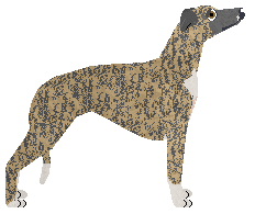 Jetstream Promise It's Not Prosthetic — “Skylar Blue”