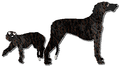 Profile image of Jetstream Stale Cupcakes