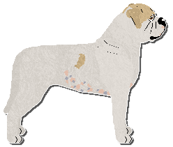 Profile image of Olfaction A Wrinkle In Time