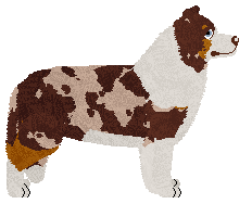 Paradigm Well Of The World's End — “Poppet”