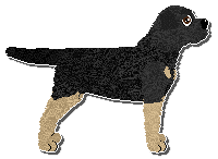 Profile image of Limerick Germander Speedwell