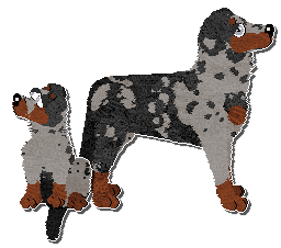 Profile image of Paradigm Apprentice Thief