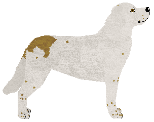 Crowned Head Games — “Juice”