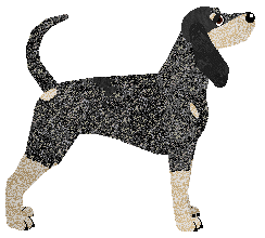 Nosewise Crossfire — “Astra”