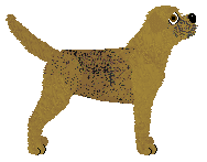 Hadrian's Wisdom of the Owl — “Minerva”