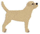 Hadrian's Ancient Forum — “Hope”