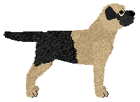 Hadrian's The Violence of Mars — “Shorts”