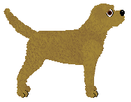 Hadrian's Latin Legacy — “Julia”