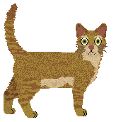 Profile image of Folklore Tragedy Day