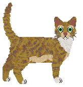 Folklore Last Orders — “Rough”