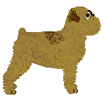 Crowned Touched by an Angel — “Squash”