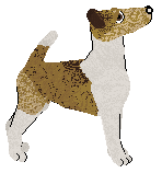 Redcap Seven Seas — “Pirate”