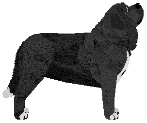 Crowned Necromancer — “Dagger”