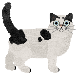 Brytyjski's The New Nightmare at Nightwish — “Darkwork”