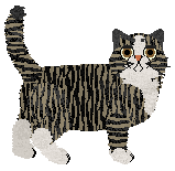 Grascinnen Thought of Glory at Nightwish — “Mislav”