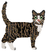 Nightwish Tane Mahuta — “Kauri”