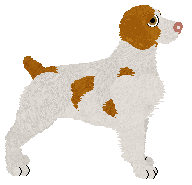 Profile image of Evanescence Kirinbell