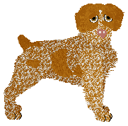 Profile image of Evanescence Show N Tell