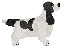 Profile image of Evanescence Just Add Some Fun