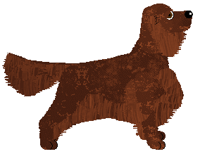 Evanescence River Flows In You — “Yiruma”