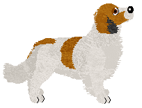 Evanescence Ready To Start — “Sunset”