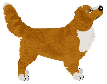 Evanescence Shooting Star — “Star”