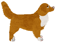 Evanescence Starlit Presence — “Patrick”