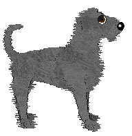 Ravenskeep Dashing Deer — “Darla”