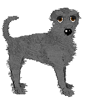 Profile image of Ravenskeep Dashing Deer