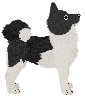 Wolf Hollow's Kaarina — “Kaisa”