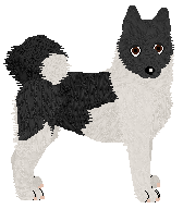 Profile image of Wolf Hollow's Kaarina