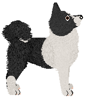 Wolf Hollow's Viktore — “Viko”