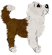 Sungraze/APK's Aquarium City — “Otterpop”