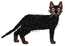 Cryptid In the Shadows — “Alien”