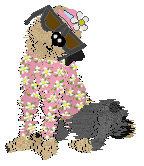 Medusa Shimmering Emerald — “Magic”