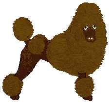 Profile image of Rosestone's Dipped In Cocoa