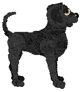 Confetti's Firestorm Forecast @ Mockingbird — “Flamethrower”