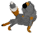 Seaglass/Mockingbird's In Perfect Point — “Zechorel”