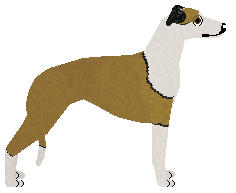 Jetstream Manky Swans Cannae Read — “Mochi”