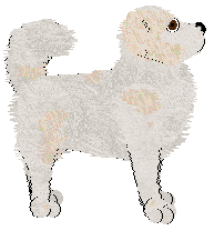 Cirrutopia's Old Gaelic — “Alastar”