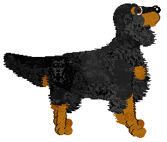 Aura's Perfect Storm — “Buster”