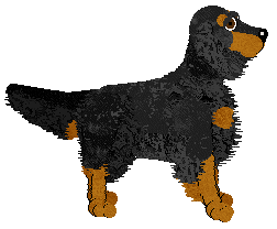 Aura's Perfect Storm — “Buster”