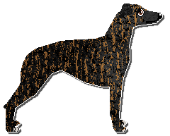 Profile image of Jetstream Pizza On Your Focus