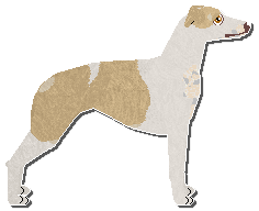 Profile image of Jetstream Absolutely Full Of Crisps