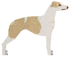 Jetstream Absolutely Full Of Crisps — “Nanou”