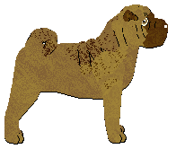Profile image of Monkshood The Main Takeaway