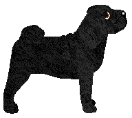 Monkshood Black Tortoise — “Heise”