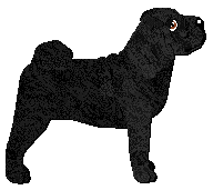 Profile image of Monkshood Black Tortoise