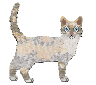 Profile image of Remirys Southern Belle