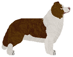 Silvermyst Any Other Day — “Andy”